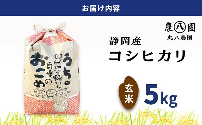 【予約】令和8年度産 静岡産 コシヒカリ 玄米 5kg 米 コメ こしひかり コシヒカリ 袋井市 静岡県