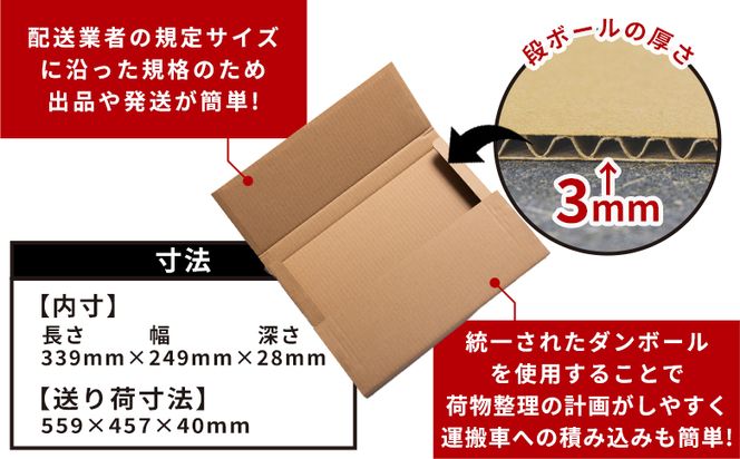 抜き式ケース（A4対応） 10枚 クリックポストサイズ - 国産 厚さ3mm 段ボール ダンボール 荷物 発送 引っ越し 便利 収納 整理 フリマサイト オークション 通販 配送 ta-0006