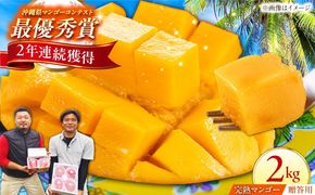 【贈答用】仲村農園の完熟アップルマンゴー2kg マンゴー 沖縄 果物 フルーツ ギフト 沖縄市 / 仲村農園[BCCU001]