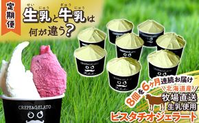 ＜6ヶ月定期便＞北海道産 生乳 ジェラート アイス ピスタチオ 毎月8個  ジェラートセット