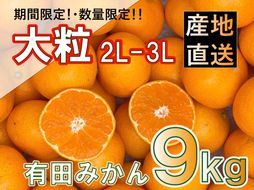 ［先行予約］和歌山県産 有田みかん 大玉 大粒 9kg 2L～3L BA50