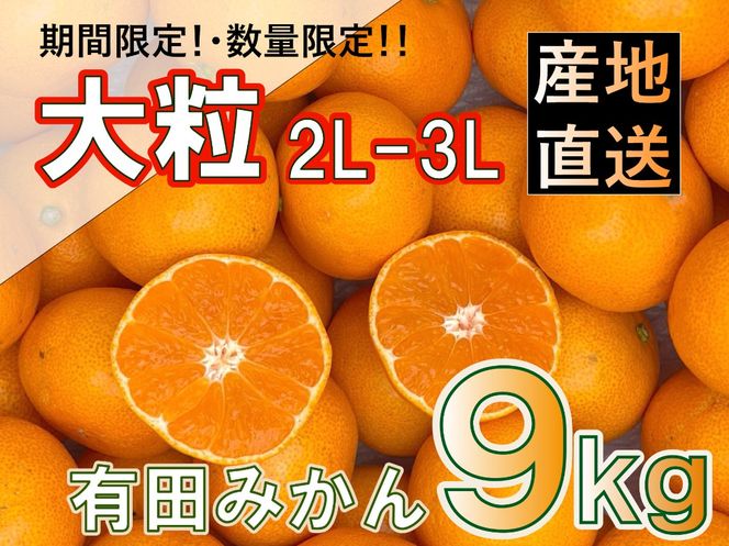 ［先行予約］和歌山県産 有田みかん 大玉 大粒 9kg 2L～3L BA50