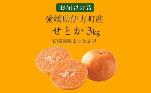 【先行予約】せとか3kg ※離島への配送不可 （2027年2月10日より順次発送予定） IKTAG003 