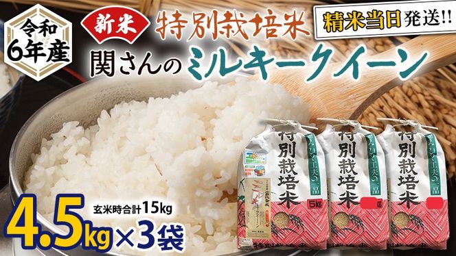 《 特別栽培米 》 令和6年産 精米日出荷 関さんの「 ミルキークイーン 」 4.5kg × 3袋 ( 玄米時 15kg ) 新鮮 精米 米 こめ コメ 特別栽培農産物 認定米 新米 [AM089us]