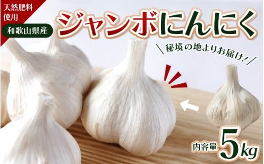 令和８年度産 秘境の地からお届けする あゆみファームのご家庭用ジャンボにんにく 5kg【7月下旬から順次発送】/ にんにく ニンニク ジャンボにんにく 予約受付 ガーリック 和歌山【aym017】