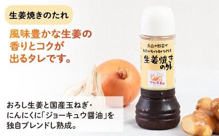 【ギフト用】レストランの味わい お肉がもっとおいしくなるソース詰め合せ(3種) 糸島市 / モンシュシュママの食卓 調味料 セット[AGH001]