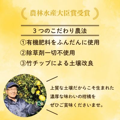 河内晩柑 （愛南ゴールド）木取り完熟 樹齢25年 吉本農園 柑橘 みかん 愛南ゴールド 蜜柑 グレープフルーツ ゼリー ジュース アイス 果物 フルーツ サイズミックス 規格外 愛媛県 愛南町