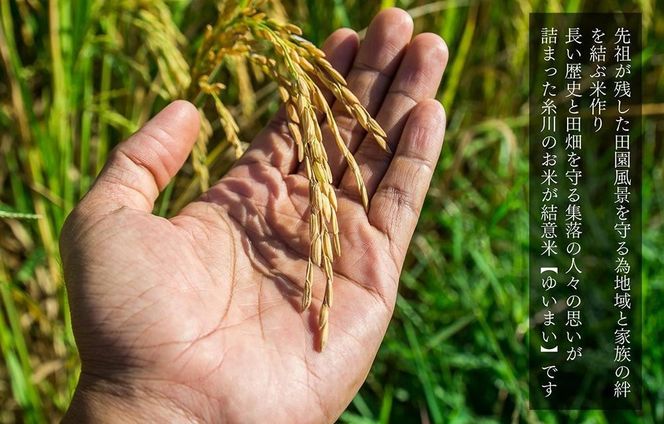 お米 10kg (5kg×2袋) 思いを繋ぐ糸川のお米 結意米 【ゆいまい】和歌山県産 【みかんの会】  AX166