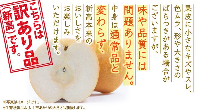 ＜ 訳あり ＞ 新高 約5kg 【2026年10月より発送開始】（茨城県共通返礼品 [梨]：大子町産） ご家庭用 フルーツ なし ナシ 和梨  梨 わけあり 果実 旬のフルーツ お取り寄せ くだもの 果物 みずみずしい