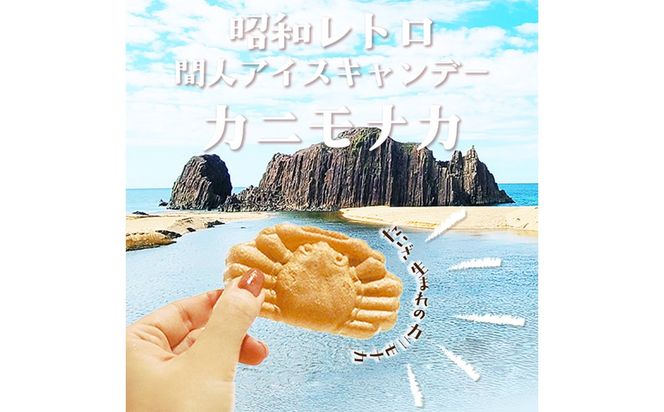 カニもなか（ミルクアイス）　あいす アイス もなか 最中 冷菓 間人アイスキャンデー 生産者応援 送料無料　IZ00003