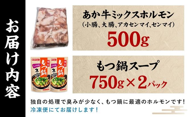 あか牛もつ鍋セット《60日以内に出荷予定(土日祝除く)》三協畜産 あか牛 もつ鍋---sn_fskamn_r7_60d_14500_500g---