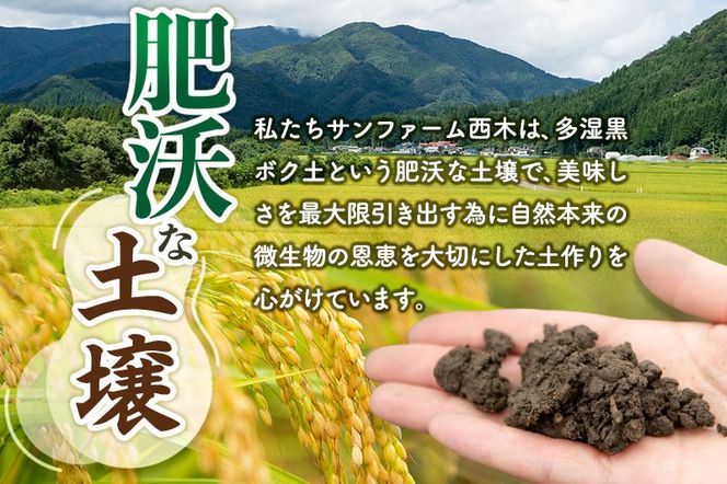 【玄米】＜令和6年産 予約＞ 秋田県産 あきたこまち 30kg (5kg×6袋) 30キロ お米|02_snk-021001s