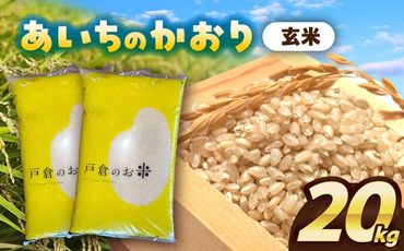 ＼選べる配送月／ あいちのかおり　玄米　20kg　お米　ご飯　愛西市／株式会社戸倉トラクター[AECS012]