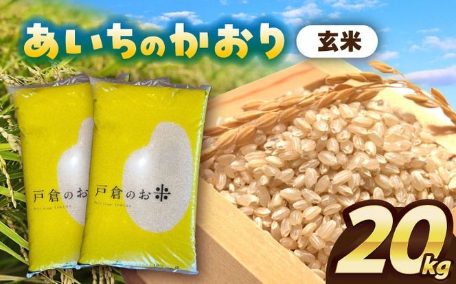 ＼選べる配送月／ あいちのかおり　玄米　20kg　お米　ご飯　愛西市／株式会社戸倉トラクター[AECS012]