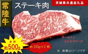 169-26-041 【常陸牛】ステーキ用肉 約500g（茨城県共通返礼品）【 常陸牛 茨城県 日立市 】