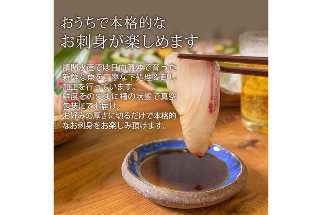 【北海道・離島配送不可】新鮮！しまあじのお刺身(1尾分：約500～600g)海鮮 魚介 お刺し身 シマアジ しゃぶしゃぶ 冷蔵 真空 国産【UZ-05】【請関水産】