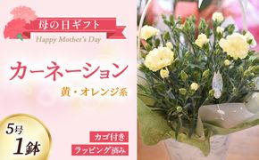【母の日ギフト・先行予約受付】カーネーション（黄・オレンジ系5号鉢）母の日 カーネーション バスケット ラッピング ギフト仕様 ギフト 宮崎県 小林市