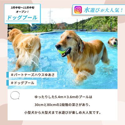 『パートナーズハウスゆあさ』ランチ付き・日帰り利用券（1名様+1頭）【チケット 券 旅行 旅行券 利用券 旅館 トラベル】_AL6003n
