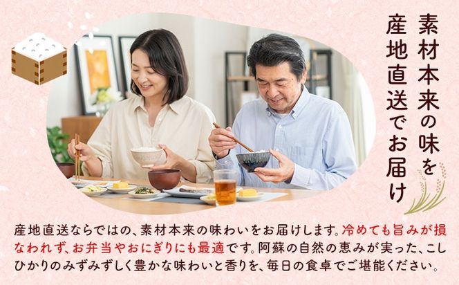 【先行予約】米 令和8年産 阿蘇こしひかり 10kg (5kg×2袋) ますだふぁーむ《9月末-10月末頃出荷》熊本県 南阿蘇村 米 お米 白米 精米 国産米 こしひかり コシヒカリ 産地直送---sms_msfkh_dk9_26_23000_10kg---