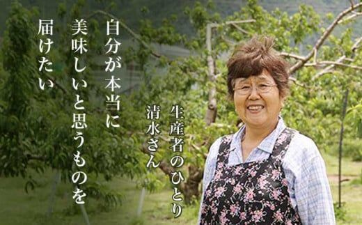 川中島白桃 約3kg 6～12玉 ［小布施屋］ 桃 白桃 もも モモ フルーツ 果物 令和8年産 【2026年8月下旬～9月上旬発送】［A-6］