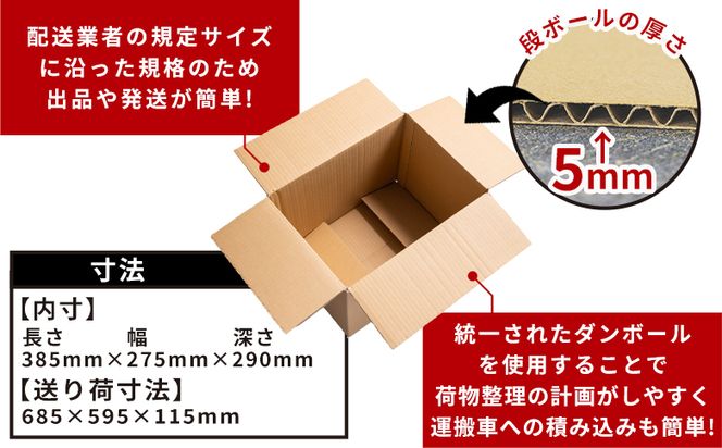 梱包用ダンボール 10０サイズ 10枚 - 国産 段ボール 荷物 発送 引っ越し 便利 収納 整理 フリマサイト 通販 配送 梱包 郵便 規定サイズ 防災 タケナカダンボール ta-0027