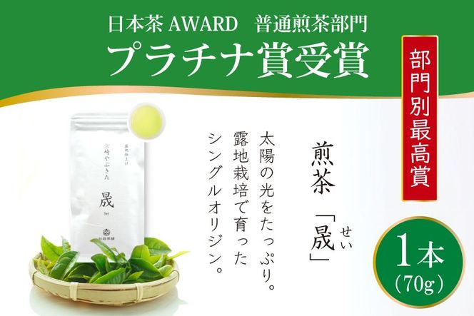 お茶 緑茶 煎茶 晟 70g×1本 [谷岩茶舗 宮崎県 日向市 452061000] 緑茶 やぶきた プラチナ賞 日本茶