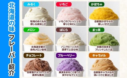 1336.アイスクリーム ジェラート 食べ比べ 15個 アイス 北海道 A セット 手作り 北海道 弟子屈町