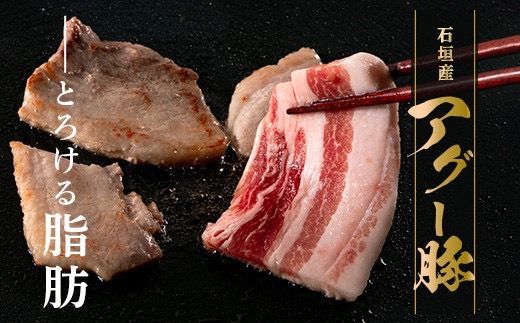 E-23 石垣島産アグ―豚（南ぬ豚）焼肉セット600g