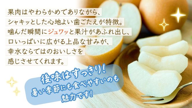 ＼選べる 内容量／幸水 約3kg・約5kg【2026年8月より発送開始】（茨城県共通返礼品 [梨]：大子町産） 高糖度 ギフト 贈り物 プレゼント フルーツ なし ナシ 和梨 梨 果実 旬のフルーツ お取り寄せ くだもの 果物 みずみずしい