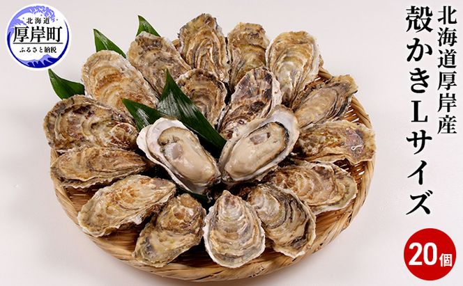 厚岸産　殻かき L20個セット 北海道 牡蠣 カキ かき 生食 生食用 生牡蠣 魚貝類 マルえもん