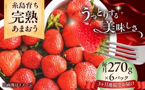 【全3回定期便】福岡県 糸島市産 完熟 あまおう いちご （約270g×6パック） 【2026年4月以降順次発送】 糸島市 / mhshops / 苺 イチゴ[AKQ006]