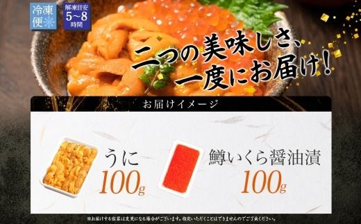 2518. うに 100g 鱒いくら醤油漬け 100g セット ウニ チリ産 冷凍 雲丹 チリ産 ますいくら 鱒 マス イクラ いくら いくら醤油漬け 海鮮 海鮮丼 送料無料 北海道 弟子屈町