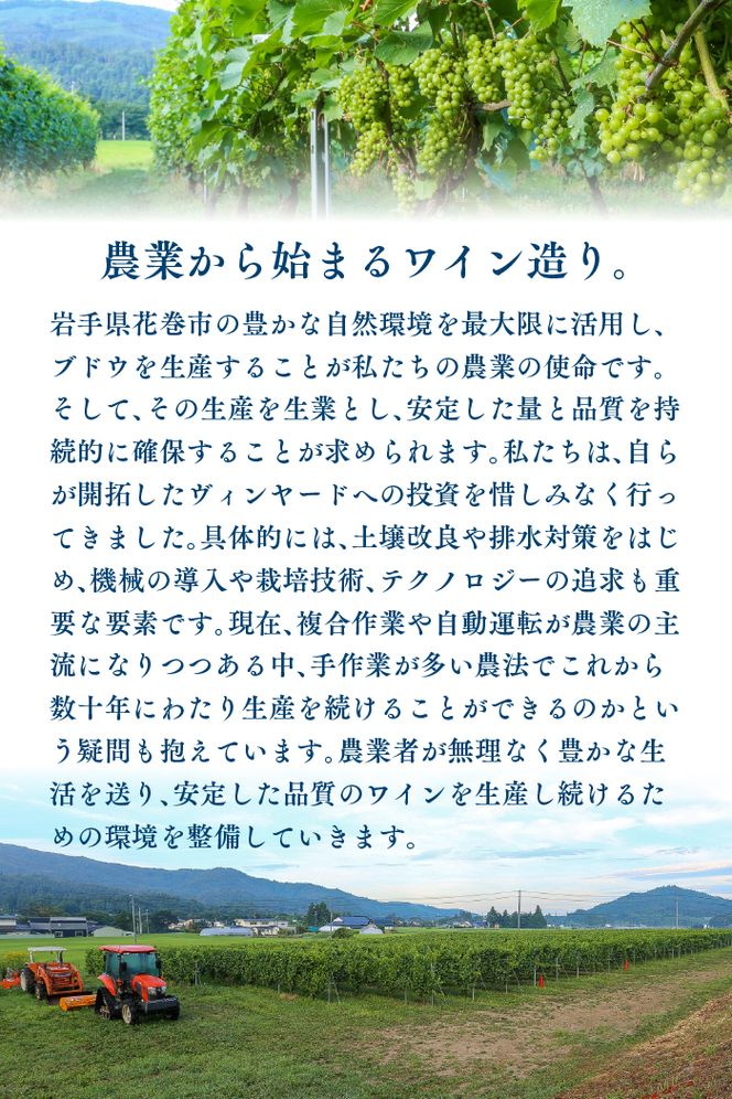 Vespinae（ベスピナエ）  2023 岩手シャルドネ 750ml×1本 【1699】