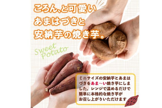 ＜先行予約受付中！2026年10月から順次発送予定＞おやつ芋 あまはづき 安納芋 冷凍 焼き芋 (計12個・3個入り×各2袋) 焼芋 やきいも さつまいも さつま芋 レンジ あまはづき 安納芋 小分け おやつ 【YO-27】【株式会社陽】