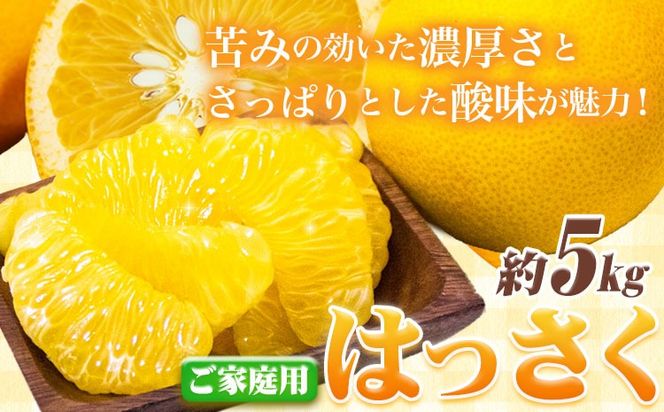 ＜1月より発送＞ご家庭用 訳あり はっさく 八朔 みかん 5kg+250g（傷み補償） 池田鹿蔵農園 日高町《2026年1月上旬-3月末頃出荷》和歌山県 日高町 送料無料 はっさくみかん 八朔 訳ありはっさく【配送不可地域あり】--wsh_idn318_1j3m_25_11000_5kg---