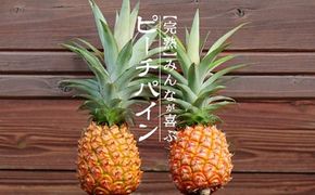 【先行受付】《2026年5月上旬～7月上旬順次発送予定》石垣島産パイナップル（ピーチパイン）3玉入 約2kg（1.7~2.2kg）【産地直送 沖縄県 石垣島 農家直送 パイン フルーツ】TK-10 