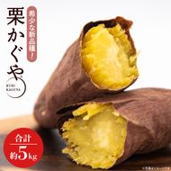 【2026年7月より順次発送】希少な新品種！７月限定「行方の黄福(栗かぐや)」さつまいも 約5kg｜さつまいも サツマイモ さつま芋 お芋 希少 新品種 栗かぐや 先行予約 茨城県 行方市(AE-88)