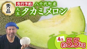 【 先行予約 2025年 6月上旬 以降発送】 タカミメロン 秀品 4玉 5.5kg 令和7年産 八千代町産 期間限定 産地直送 果物 フルーツ メロン 甘い 人気 タカミ 貴味 [AX041ya]