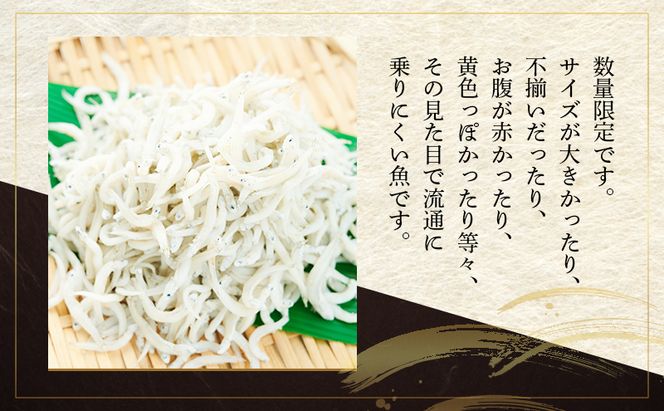 数量限定訳ありしらす干し1kg×2 しらす 不揃い 訳アリ 魚 魚介 海の幸 ごはんのお供 おかず 九十九里町 千葉県