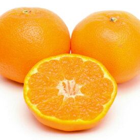 ZD6376n_【2027年先行予約】【厳選・濃厚】 紀州有田産のはるみ 約4kg(サイズおまかせ)【ハルミ 春見 ミカン 蜜柑 柑橘 和歌山 有田】