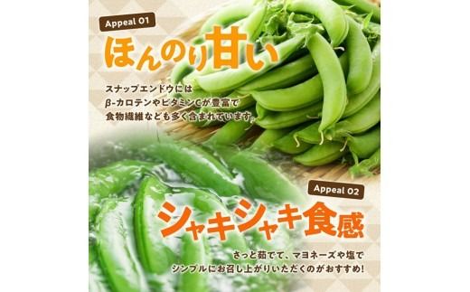 宮崎県産　スナップエンドウ1kg 【 宮崎県産 川南町産 スナップエンドウ 】[C12701]