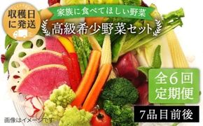 【 全6回 定期便 】【 農薬・化学肥料 不使用 】こだわり 高級希少野菜 セット （ 7品 前後 ） 《糸島》【オーガニックナガミツファーム】 	[AGE017]