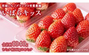 【 茨城いちごグランプリ 受賞 農園 】 完熟 いばらキッス 4パック 茨城県オリジナル品種 イチゴ 苺 フルーツ 果物 果実 [DY003ci]