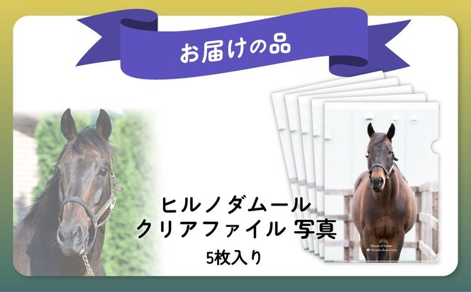 【ヒルノダムール】クリアファイル 写真5枚入り BRTV303