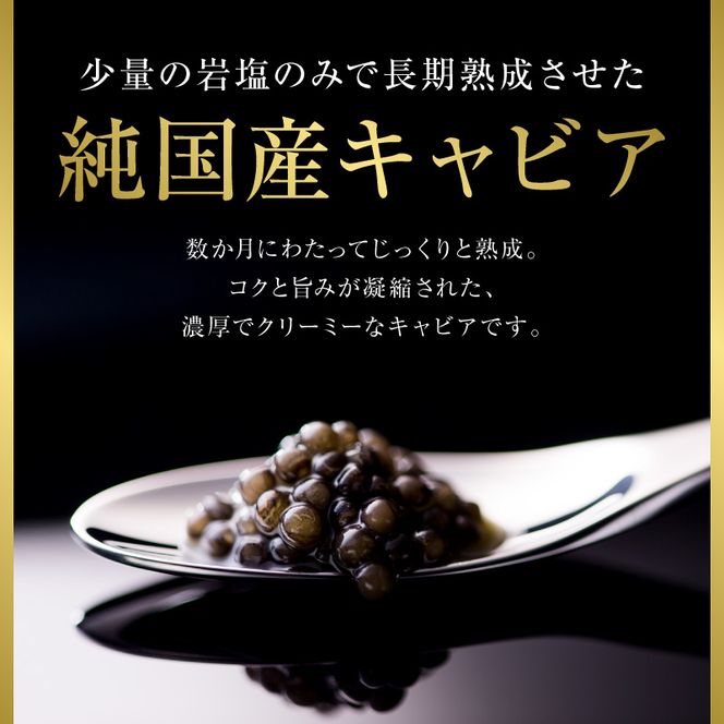 世界三大珍味　本格熟成キャビア　宮崎産キャビア　20g　お試し　訳あり　簡易パッケージ　N027-YB365