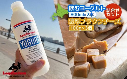 ykCWÒzރ[Og(800ml×2{) Zu`[Y(100g)3lZbgkCWÒw[vCYt@[xy49006z