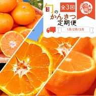 〈定期便〉【1・2・3月 全3回】紀州和歌山産旬のフルーツセット(みかん・不知火・せとか)