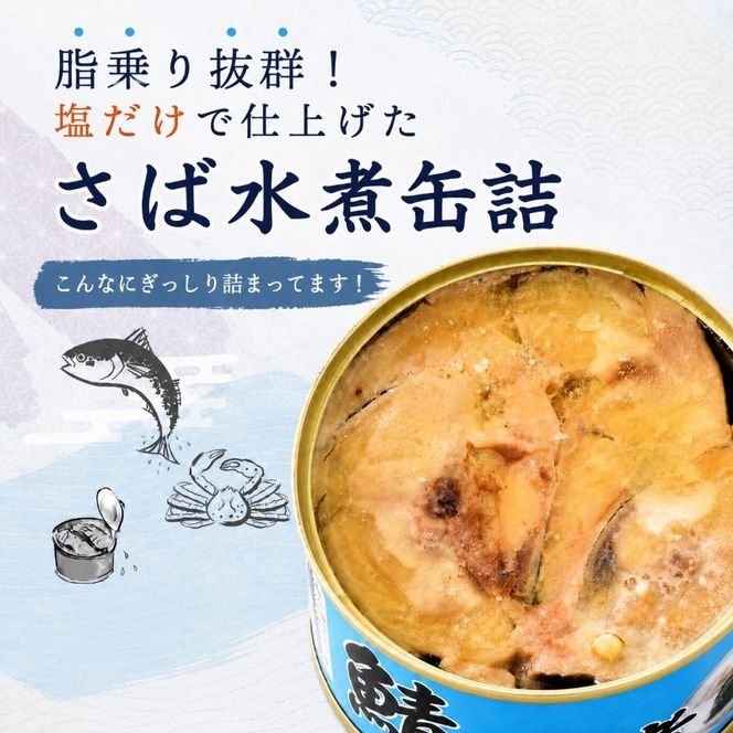 サバ缶 水煮 24缶 セット 缶詰 サバ水煮 サバ水煮缶 さば おかず 惣菜 常温保存 備蓄 鯖缶 さば缶 防災 非常食
