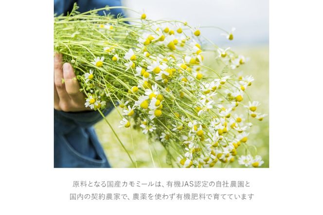 華密恋 薬用入浴剤 6ヶ月 定期便 (初回400ml 2回目以降350mL) 総計6本 [SouGo 長野県 池田町 48110890] カミツレン カミツレ 入浴剤 液体 ボトル 詰め替え つめかえ用 限定
