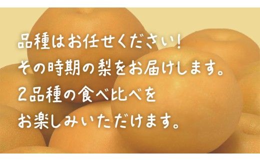 【食べ比べ】 梨 2品種 合計 約5kg 【2026年8月上旬発送開始】 (茨城県共通返礼品：大子町) なし 果物 くだもの フルーツ おまかせ 旬